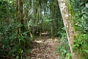 Kwatu lodge forest.200914jul_2730